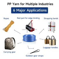 Low-Cost 100% Polypropylene Filament Yarn in Custom Colors PP Yarn for Ribbon Weaving