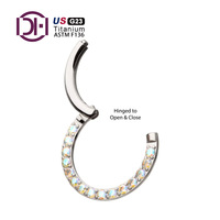 DFARS conforme F136 alliage de titane incrustation cerceau face avant articulé 1mm Ombre fondu gemme Segment Clicker Piercing bijoux