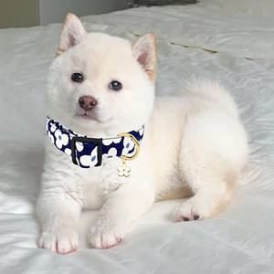 Nettes Hunde halsband mit Blumen zauber Marineblau verstellbares Haustier halsband mit Blumenmuster für weibliche männliche kleine mittelgroße Hunde - Product Image 3