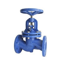 Pn16 Ductile Iron Cast Iron Steam Bellow Seal Harga Katup Globe Kontrol Air