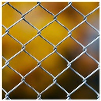 Filet de clôture galvanisé de haute qualité, anti-corrosion, adapté pour les clôtures de ferme, de jardin et de volailles, peut être coupé sur mesure