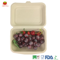Boîte à lunch écologique en pulpe de canne à sucre de 600 ml, boîte à lunch en forme de coquille, biodégradable, compostable, conteneur alimentaire, emballage à emporter de 7 x 5 pouces