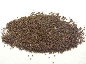 Máquina para Hacer Comida para Perros LINYANG, Nueva, con Buena Nutrición, Línea de Procesamiento de Alimentos para Mascotas, Componentes Principales: Caja de Cambios, Motor, Garantía de 2 Años - Product Image 3