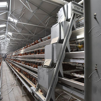 Système de cages à volailles en acier métallique pour poules pondeuses, conception de batterie de type A automatique et économique, pour élevage de poussins