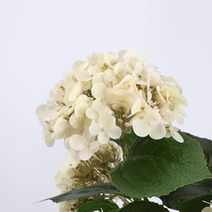 Hortensias Artificiales Beige Estilo Nórdico Hechas a Mano Directamente de Fábrica, con Tacto Húmedo, Tipo Bola de Nieve Francesa, para Decoración del Hogar - Product Image 4