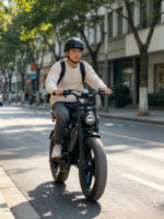 Vélo de montagne électrique pour adultes Affichage numérique 7 vitesses Cadre en acier Freins à disque Moteur sans balais 250W Batterie au lithium Autonomie 50-60 km