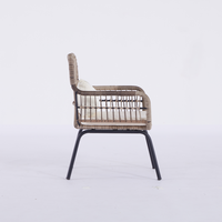 Chaises en rotin plastique pour jardin, canapé, fauteuil en cannage, chaises pour restaurant - Vente en gros