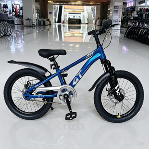 VTT Enfant 2026 à Cadre Personnalisé pour Garçons et Filles, Couleurs OEM Prises en Charge GIAOT-1011 - Product Image 3