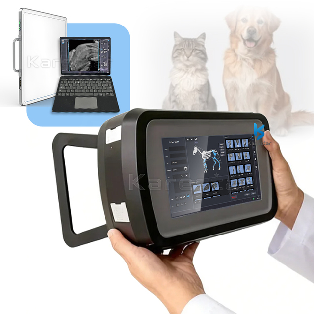 Digital X Ray Machine Portable Price Mobile X Ray Equipment Mini Portable Veterinary X-ray Machine