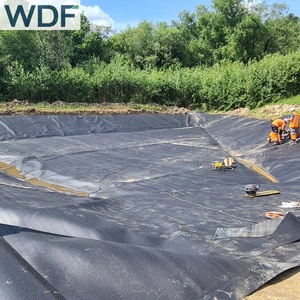 1.5Mm HDPE Bãi Rác Lót Màng Đất Cá Trang Trại Ao Lót Tôm Ao Lót Nhân Tạo Hồ Lót - Product Image 3