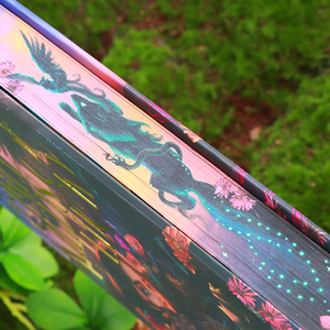 Stampa Personalizzata di Libri con Copertina Rigida, Bordi Spruzzati, <span class=keywords><strong>Romanzi</strong></span> Fantasy, Stampa con Lamina Dorata, Edizione Speciale con Sovraccoperta, Produttore di Libri - Product Image 5