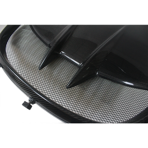 Panel de acceso frontal de capó de fibra de carbono, para LOTUS EXIGE - Product Image 3