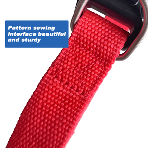 Colliers de chien <span class=keywords><strong>en</strong></span> nylon réglables Laisses pour animaux de compagnie <span class=keywords><strong>en</strong></span> gros multicolores durables pour une utilisation <span class=keywords><strong>en</strong></span> extérieur à faible quantité minimale de commande - Product Image 6
