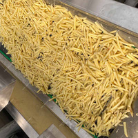 Ligne de production de frites entièrement automatique Nouvelle condition Banana Yam Machine à chips et chips de pommes de terre