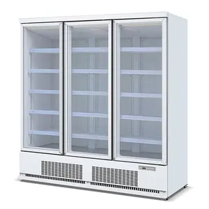 热销立式玻璃门冰柜超低温立式冰淇淋展示柜