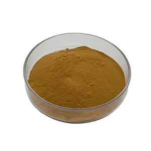 Sıcak satış saf doğal 10:1 <span class=keywords><strong>Angelica</strong></span> Dahurica kök ekstresi anjelika kök ekstresi - Product Image 1