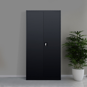 Armoire de rangement métallique à 2 portes pour salle de sport Armoires de classement en métal en acier pour entreprise Armoire financière Rangement en métal - Product Image 1