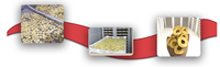 Déshydrateur de bois, gingembre et fruits, composants PLC, marque KINKAI, déshydrateur de feuilles de Moringa et de poisson, certifié CE