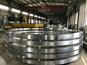 Thép hợp kim thép không gỉ thép carbon cán Vòng rèn mặt bích - Product Image 4