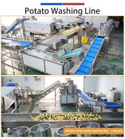 Automatische aardappelverwerkingslijn: aardappelvoeding, schillen, wassen, drogen, sorteren, machine, op maat gemaakte installatie, 0,5-1T/H, hoge capaciteit