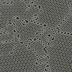 Perlas Magnéticas NiNTA para Purificación de Proteínas, Aislamiento de Proteínas Recombinantes y Aplicaciones de Investigación de Laboratorio - Product Image 3