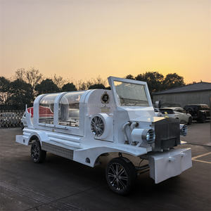 Carro Funebre Personalizzabile in Vari Colori, Lussuosi Carri Funebri a Cavallo, Modelli Elettrici/a Cavallo, Stile Bianco e Oro - Product Image 3