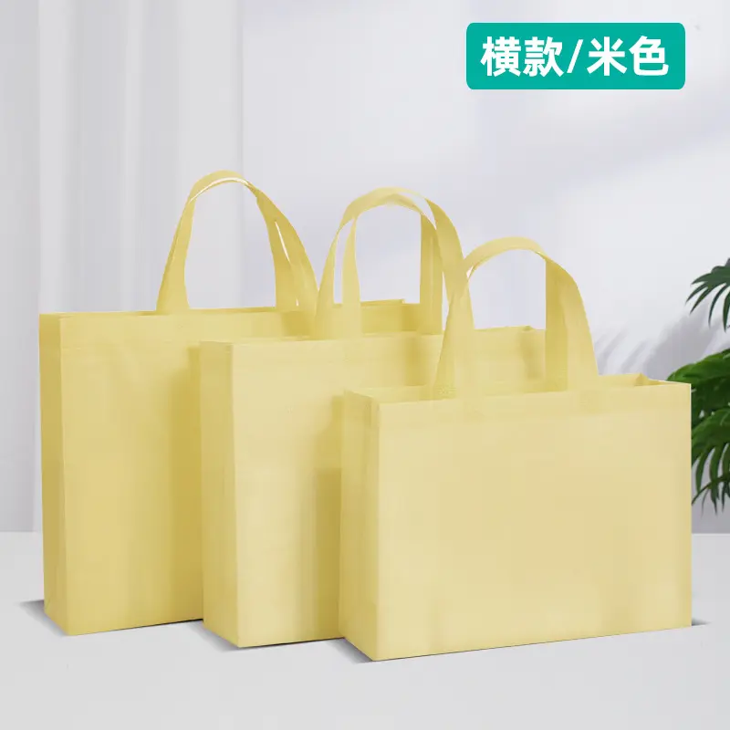 Wholesale Custom Logo Printed Non-Woven Tote Bags Recyclable Reusable PP Laminated Clothing Shoe Gift Packaging Handle Shopping