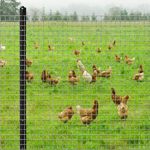 Paneles de Malla de Alambre Soldada de Acero Galvanizado para Construcción de Jaulas de Aislamiento para Gallinas, Perros y Conejos - Product Image 2