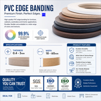 Pita Pinggir PVC Anti-Statik Ramah Lingkungan untuk Kabinet, Elektronik, dan Furnitur