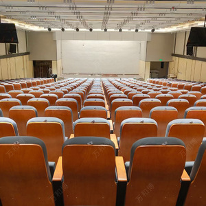 Chaises de théâtre à niveaux Manwa Expo en bois de hêtre gris, avec accoudoirs, pour hôpitaux, écoles et salles de conférence - Product Image 4