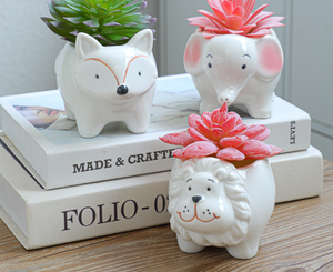 Muebles para el hogar Lindo Animal de dibujos animados en forma de cerámica Terracota Mini macetas Juego de 6 piezas para flores suculentas y uso en el jardín - Product Image 5