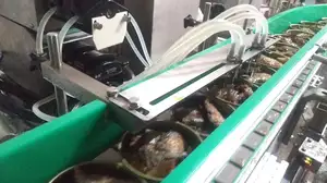 Leadworld máquina de produção automática completa de atuna sardines