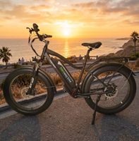Yozma in 10 Moto tout-terrain électrique 500W 48V10.4Ah Autonomie supérieure à 60 km Batterie au lithium en alliage d'aluminium Légère Vélo à pneus larges 7 vitesses