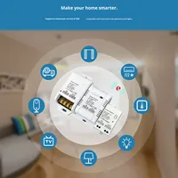 Module intelligent Tuya ZigBee 3.0 haute puissance Wi-Fi AC 85-265V, interrupteur de contact sec momentané, télécommande vocale, minuterie, éclairage, maison américaine