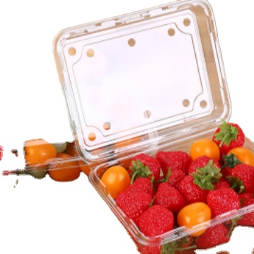 Термоформованные изделия r-PET в наличии