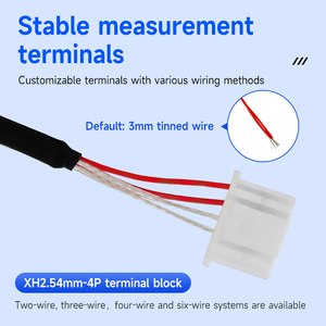 Измерительный преобразователь температуры на платине PT100 с возможностью выбора, для промышленных и лабораторных применений, датчик RTD <span class=keywords><strong>Pt1000</strong></span> - Product Image 5