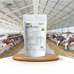 Probiotiques de l'intestin de chèvre pour une santé optimale du cycle de reproduction - Product Image 1