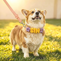 Nouvel Arrivage : Ensemble Collier et Laisse Personnalisable en Silicone Alimentaire pour Animaux de Compagnie, Motif Chat et Chien de Dessin Animé, Réglable, Idéal pour les Voyages en Extérieur