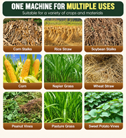 Machine à hacher l'herbe pour l'alimentation animale, coupe-paille, broyeur de paille pour bétail, moutons, porcs, volailles, ferme