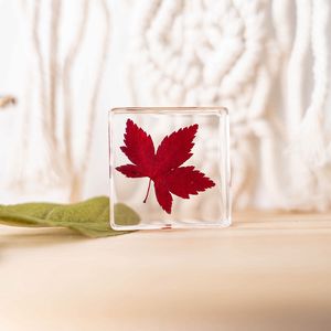 الحفاظ على الزهور الحقيقية واضحة الكريستال الحرفية الهدايا القطيفة الفرنسية ثقالة الورق للديكور - Product Image 4