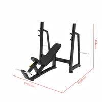 Rack de musculation incliné à charge par plaques, équipement de gym commercial, pour l'entraînement des muscles du haut du torse et la musculation, direct usine