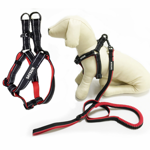 Verstellbarer Hunde gurt mit <span class=keywords><strong>Nylon</strong></span> riemen und Schnell verschluss leine Set Kunden spezifisches Polyester gewebe für Tierhalter - Product Image 1