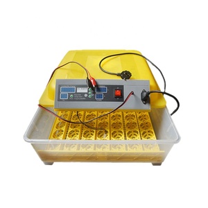 Incubadora de huevos WONEGG 48 de doble potencia para uso agrícola, Incubadora de huevos completamente automática con batería - Product Image 2