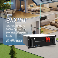 Batería LiFePO4 de 51.2V 100Ah para Montaje en Rack, Envío Global, OEM, 8000 Ciclos, para Almacenamiento de Energía Solar Doméstica Fuera de la Red