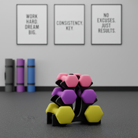 Ensemble d'haltères hexagonales en caoutchouc pour l'entraînement des bras des femmes - Multicolore, poids de gym à domicile personnalisés, prix direct usine