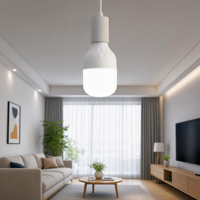 Support de lampe LED pour ampoule domestique, culot E27 B22, matériau PP, alimentation CA, usage résidentiel