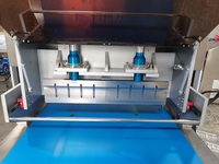 Wanlisonic Machine à collations automatique à ultrasons Coupeur en acier inoxydable pour gâteau au fromage et coupe de gâteau éponge pour restaurants