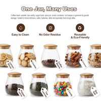 Grand pot de conservation en verre borosilicate 800 ml (27,05 oz) avec couvercle en bois, boîte à café et thé hermétique, récipient alimentaire, organisateur de garde-manger