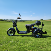 Nuevo Modelo Citycoco, Scooter Eléctrico de 3 Ruedas, Citycoco 3000w, Neumático Grueso Eléctrico, Triciclo Citycoco de Tres Ruedas, 4000w