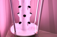 Tour hydroponique verticale, système de culture hydroponique haute densité avec éclairage